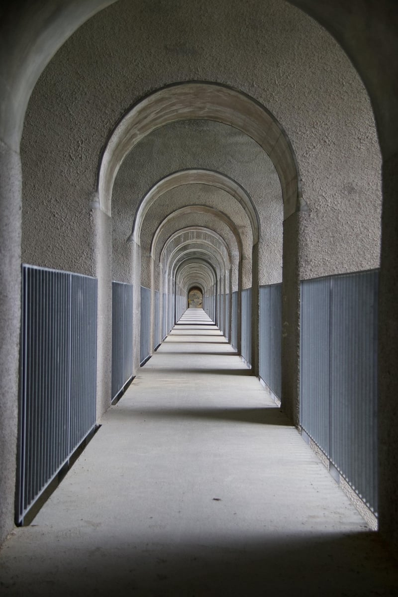 Branch Archways