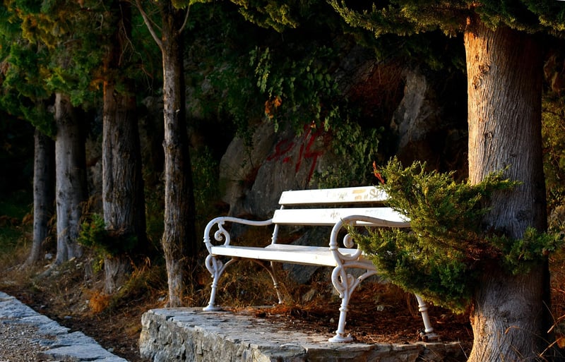 Whimsical Arbors